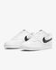 Кросівки Nike COURT VISION LO NN 2