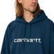 Толстовка Carhartt Hooded Sweat 3