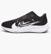 Кросівки NIKE W AIR ZOOM PEGASUS 40 PRM 1
