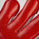 Вратарские перчатки Reusch Attrakt Gold X Glueprint Red 5
