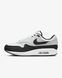 Кросівки Nike AIR MAX 1 1