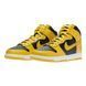 Кросівки NIKE DUNK HI 10