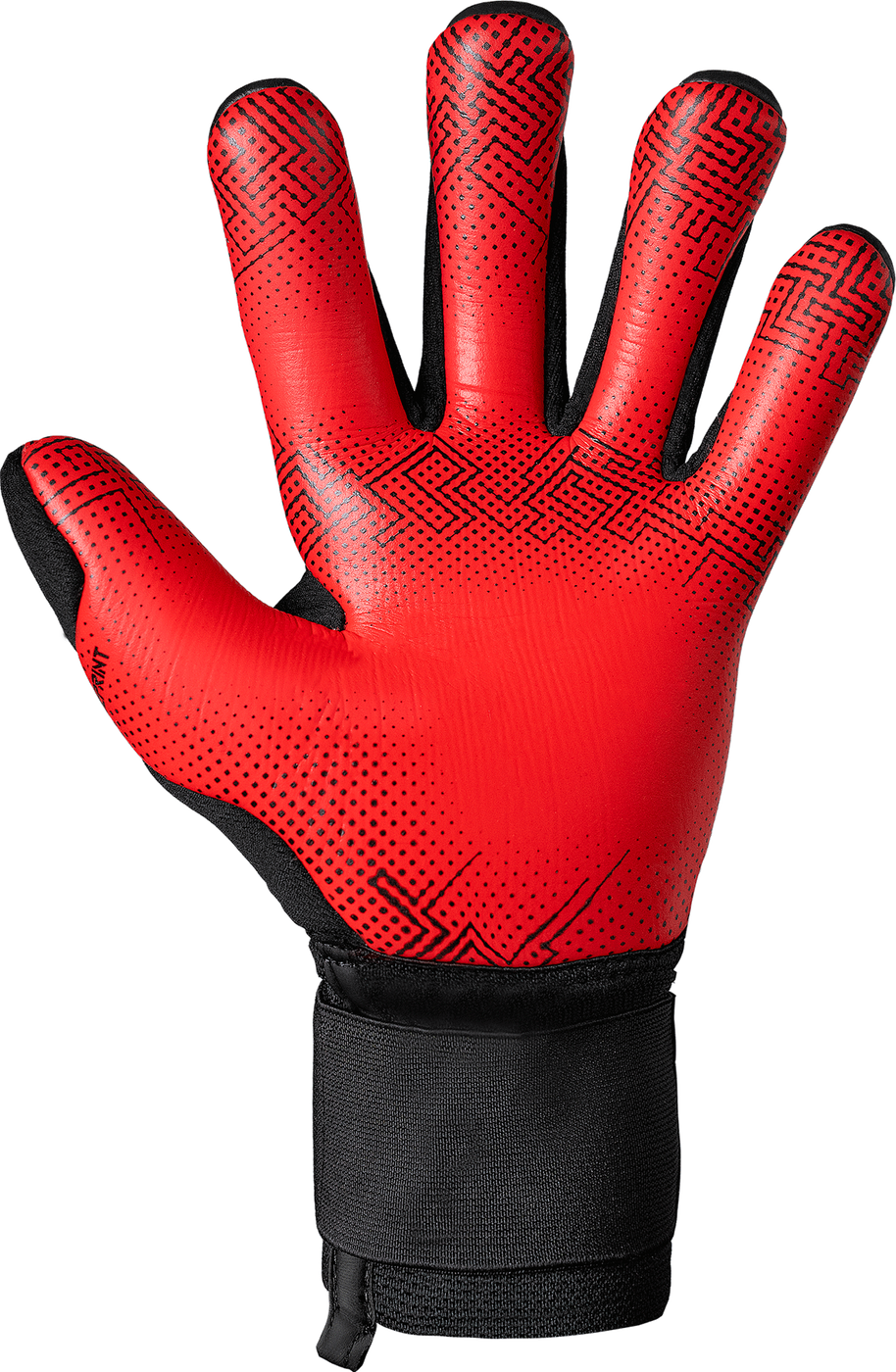 Вратарские перчатки Reusch Attrakt Gold X GluePrint купить