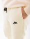 Штаны Nike JGGR 3