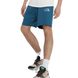 Шорти The North Face D2 GRAPHIC SHORT 3